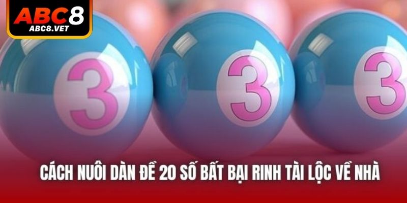 Cách Nuôi Dàn Đề 20 Số Bất Bại Rinh Tài Lộc Về Nhà