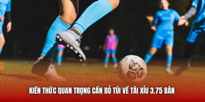 Kiến thức quan trọng cần bỏ túi về Tài Xỉu 3.75 bàn 