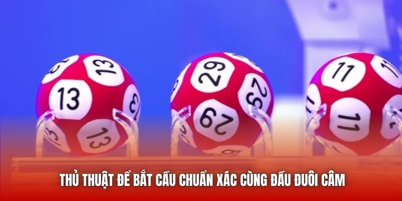 Thủ thuật để bắt cầu chuẩn xác cùng đầu đuôi câm