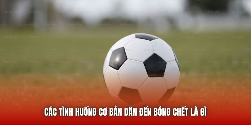Các tình huống cơ bản dẫn đến bóng chết là gì 
