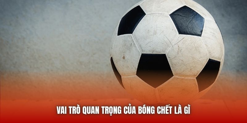Vai trò quan trọng của bóng chết là gì 
