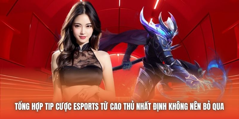 Tổng hợp tip cược eSports từ cao thủ nhất định không nên bỏ qua 